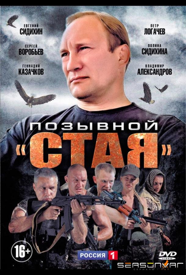 Позывной «Стая» /  (2013)