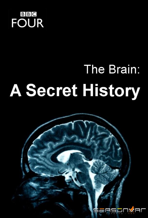 Мозг. Тайны сознания / The Brain: A Secret History (2011)