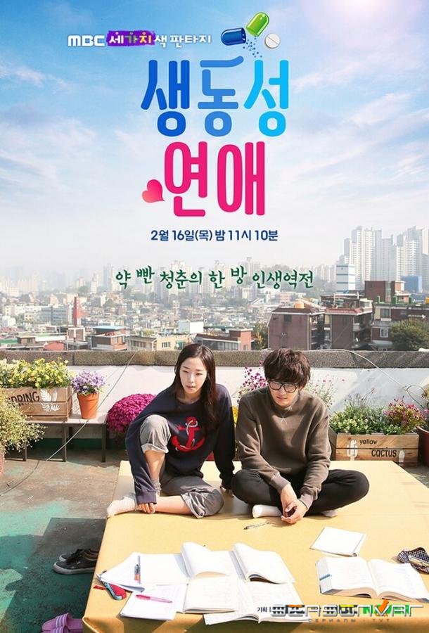 Яркая романтика / Saengdongsung yeonae (2017)