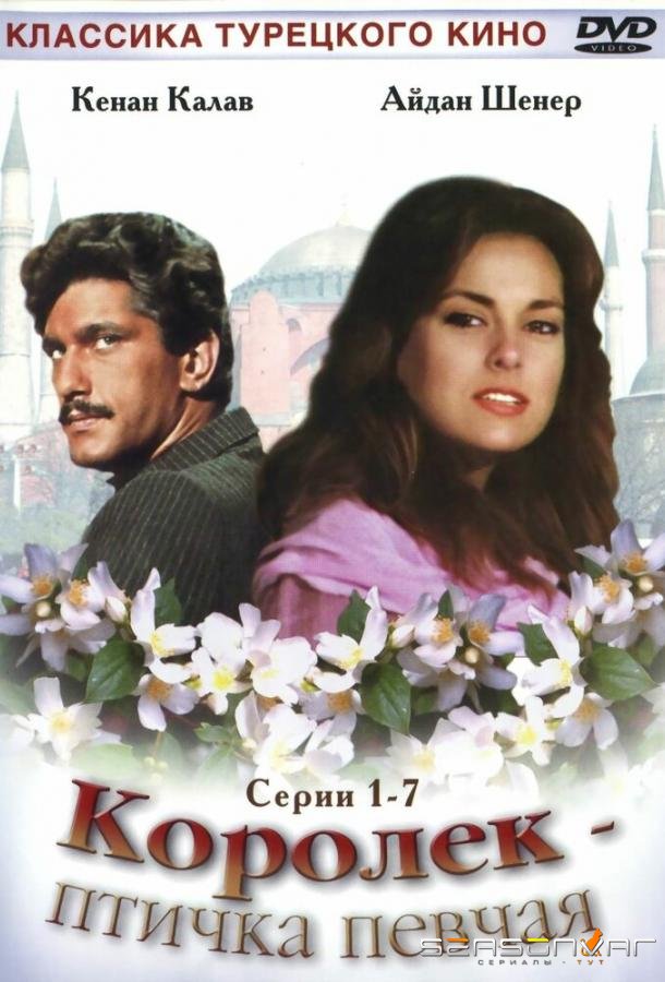 Королёк — птичка певчая / Çalikusu (1986)