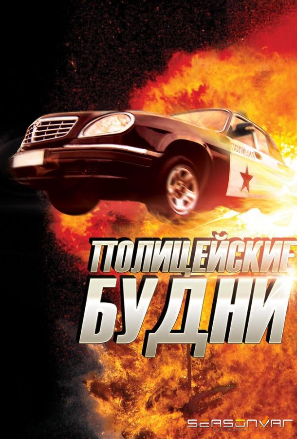 Полицейские будни /  (2012)