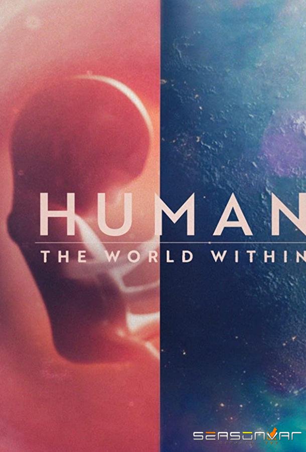 Человеческое тело: мир внутри / Human: The World Within (2021)