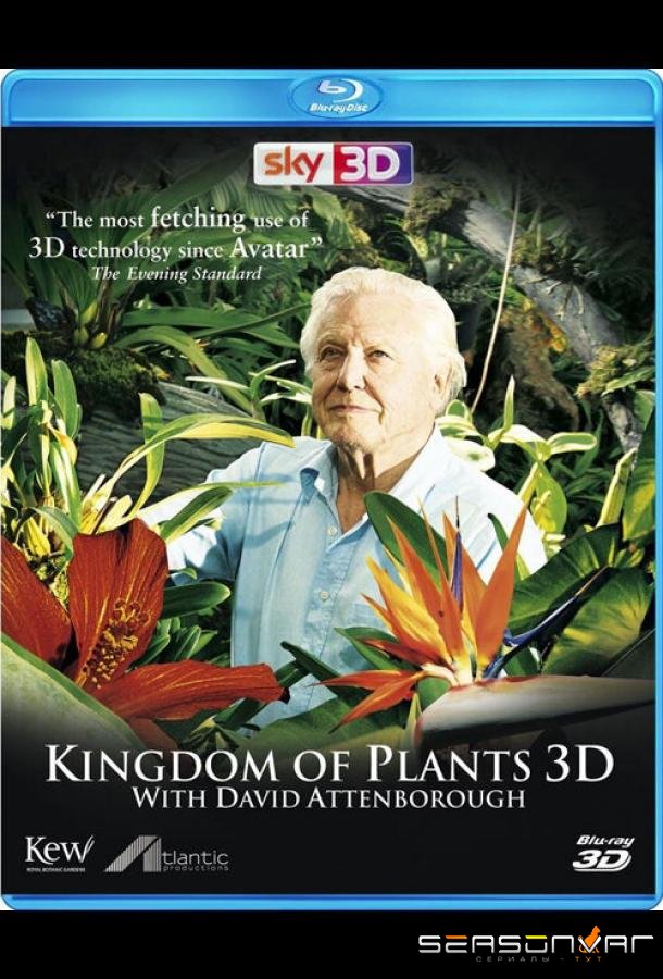 В королевстве растений / Kingdom of Plants 3D (2012)