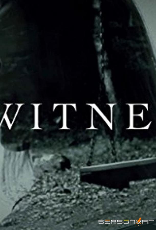 Я, свидетель / I, Witness (2017)