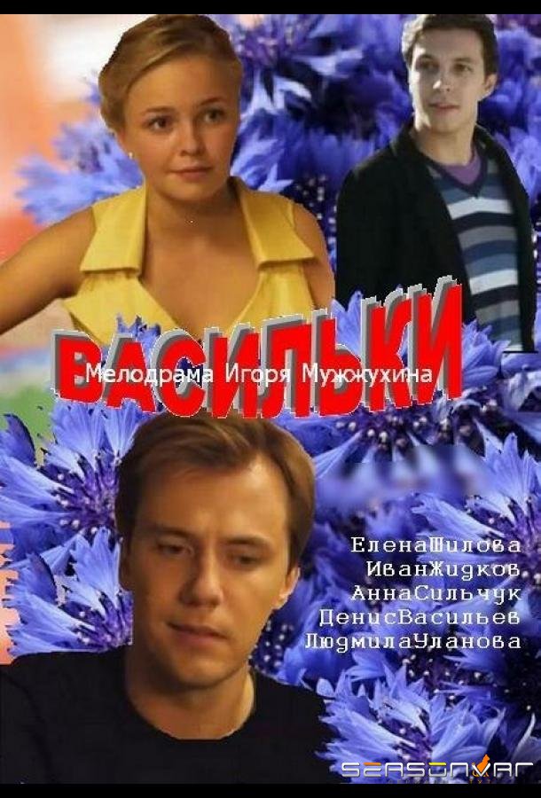 Васильки /  (2013)