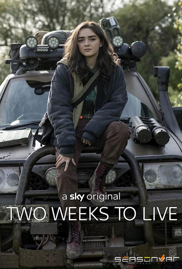 Успеть за две недели / Две недели для жизни / Two Weeks to Live (2020)