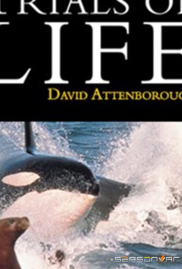 BBC: Борьба за выживание / The Trials of Life (1990)