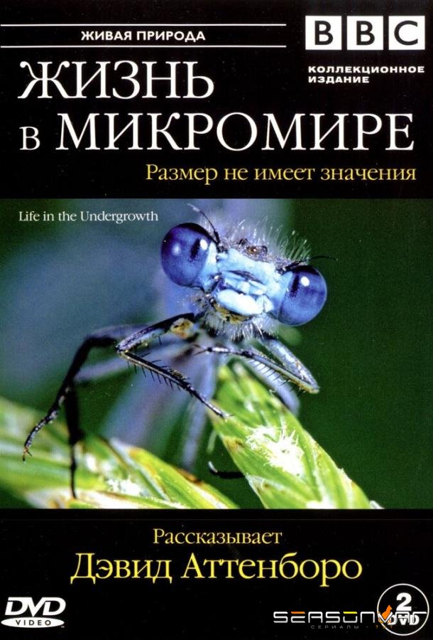 BBC: Жизнь в микромире / Life in the Undergrowth (2005)