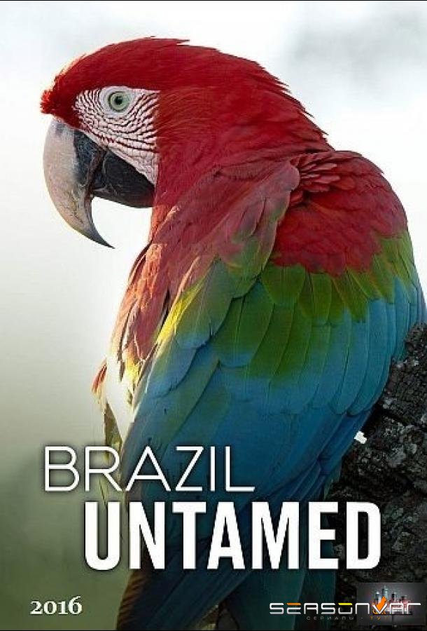 Дикая Бразилия / Brazil Untamed (2016)