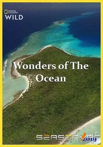 Чудеса океана / Wonders of The Ocean (2019)