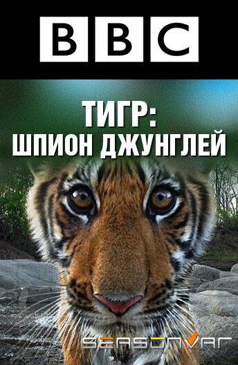 BBC: Тигр — Шпион джунглей / Tiger: Spy in the Jungle (2008)