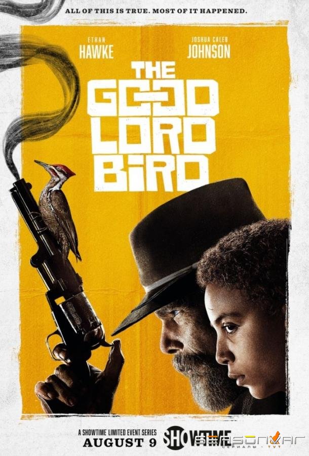 Птица доброго господа / The Good Lord Bird (2020)