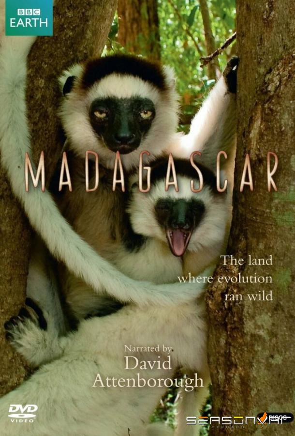 BBC: Мадагаскар / Madagascar (2011)