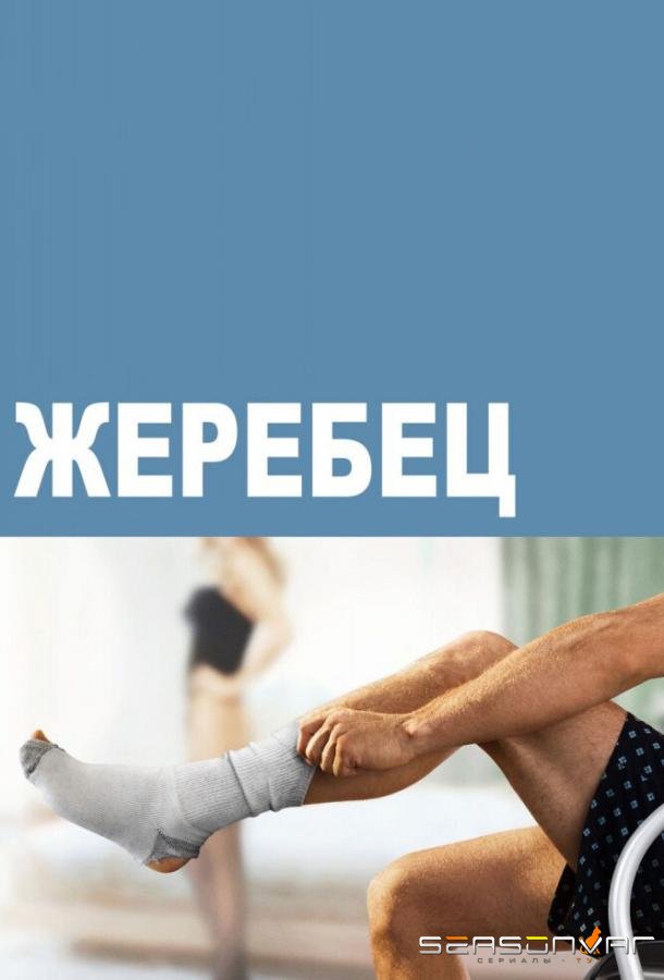 Жеребец / Hung (2009)