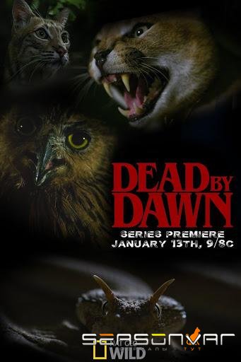 Дожить до рассвета / Dead by Dawn (2019)