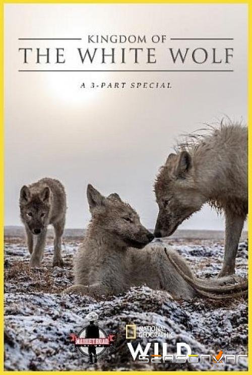 Королевство белого волка / Kingdom of the White Wolf (2019)