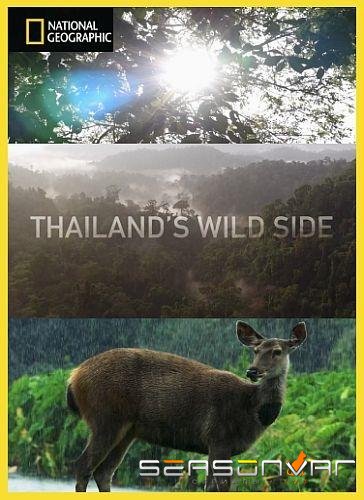 Дикие места Таиланда / Thailand's Wild Side (2020)