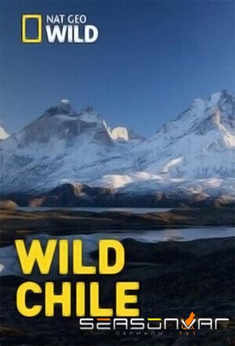 Дикая природа Чили / Wild Chile (2018)
