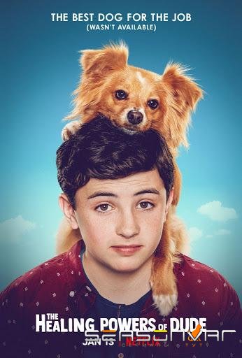 Целебные силы дружка / The Healing Powers of Dude (2020)