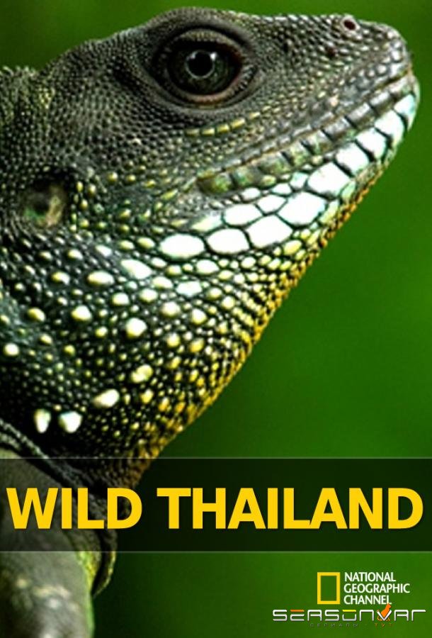 Дикая природа Таиланда / Wild Thailand (2013)