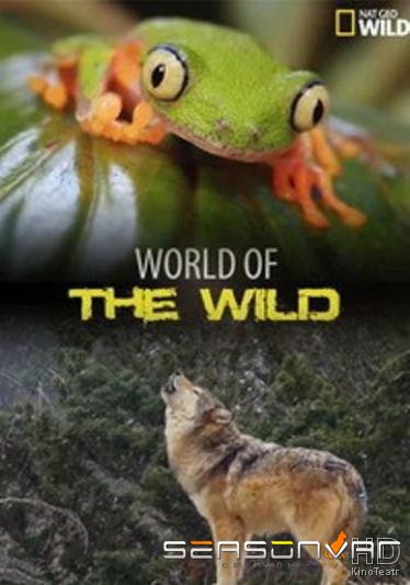 Мир дикой природы / World of the Wild (2016)