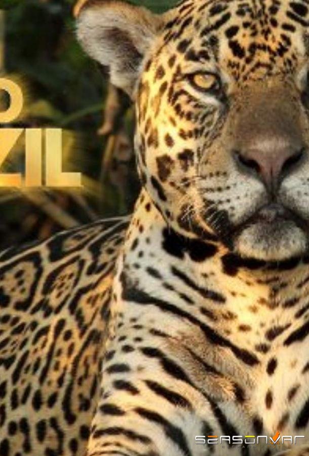 Дикая Бразилия / Wild Brazil (2014)