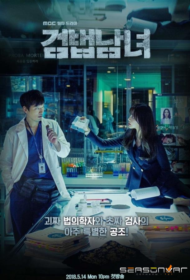 Напарники / Парочка следователей / Партнеры по правосудию / Investigation Couple / Partners for Justice (2018)