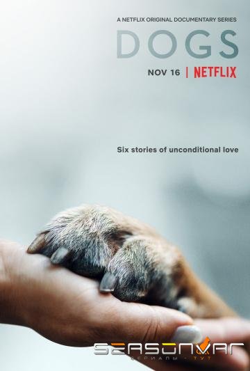 Собаки / Dogs (2018)