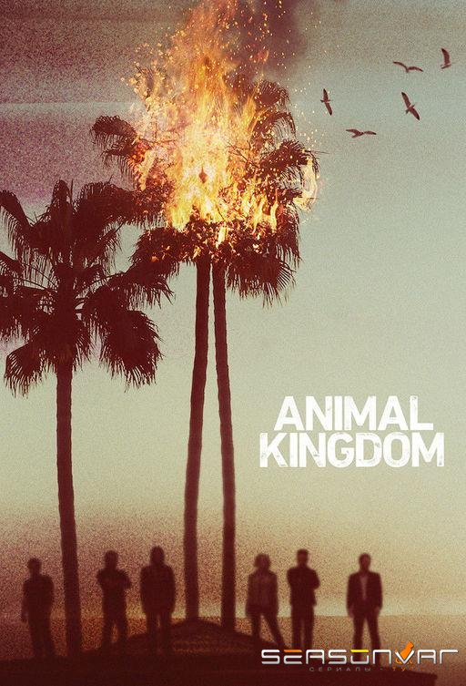 По волчьим законам / Animal Kingdom (2016)