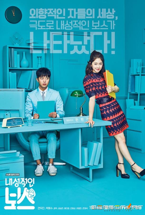Необщительный босс / Naesungjukin boseu (2017)