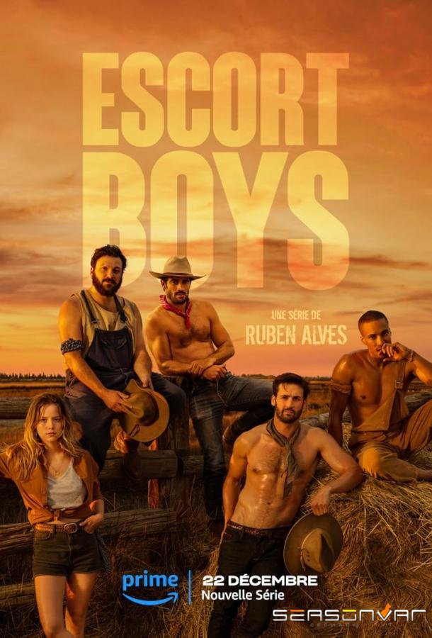 Мальчики по вызову / Escort Boys (2023)