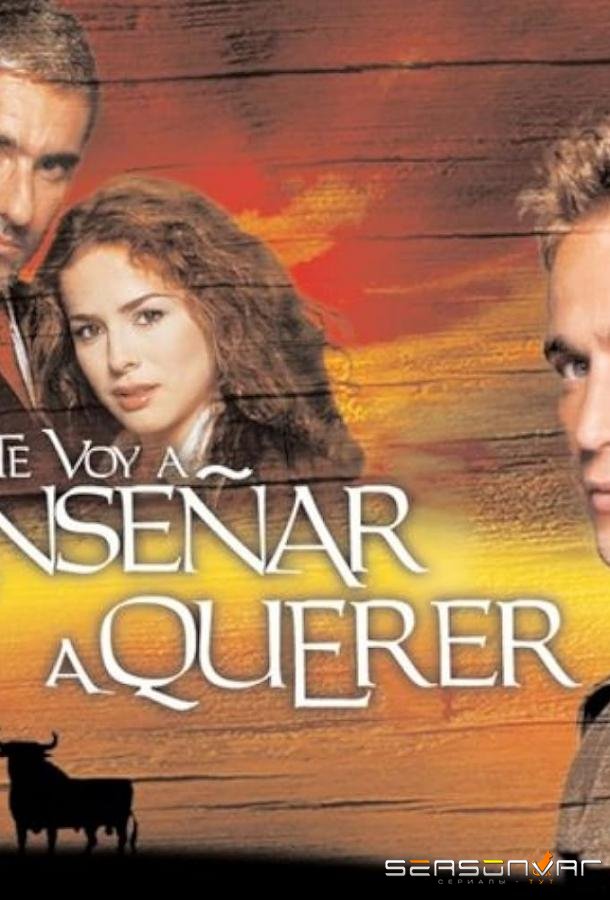 Я научу тебя любить / Te Voy a Enseñar a Querer (2004)