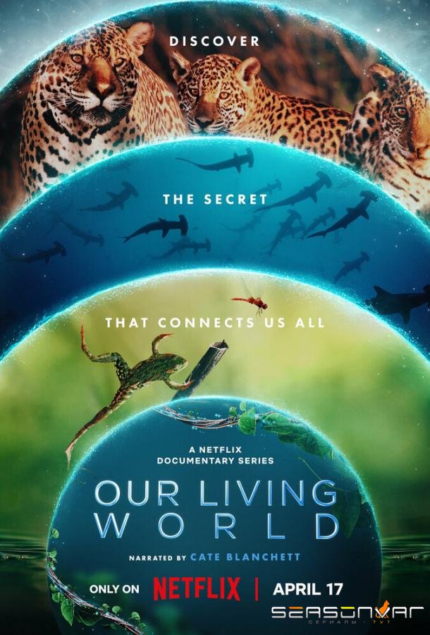 Наш живой мир / Our Living World (2024)