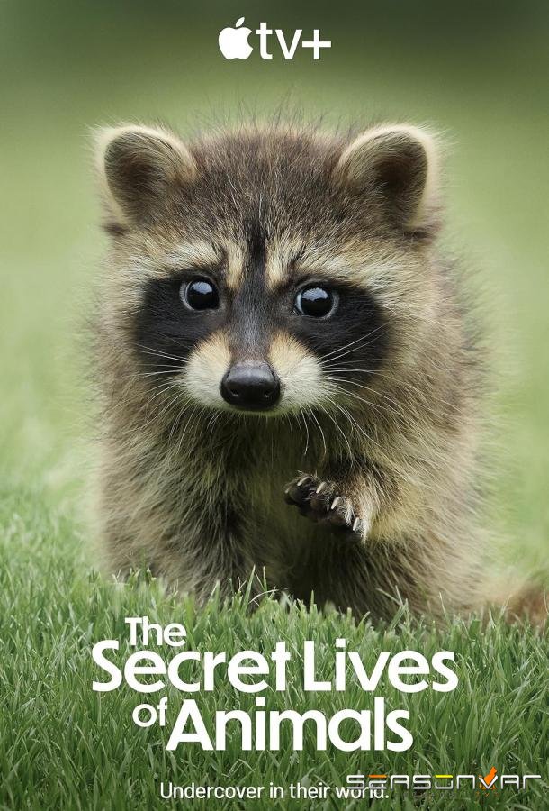 Тайная жизнь животных / The Secret Lives of Animals (2024)