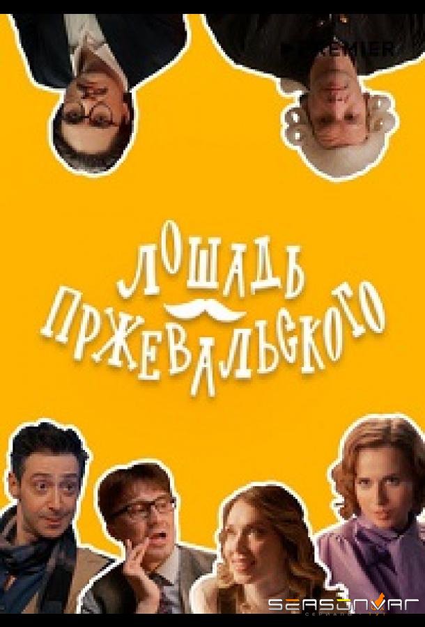 Лошадь Пржевальского /  (2025)