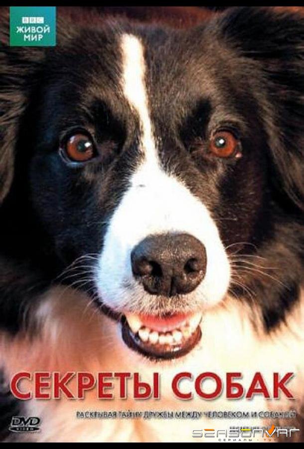 BBC: Секреты собак / Secret Life of the Dog (2010)